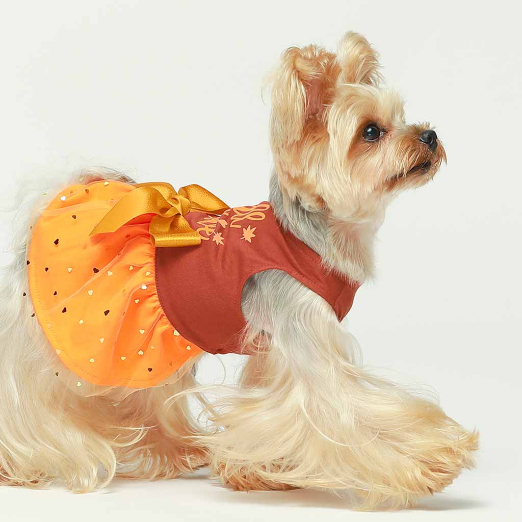 Fall in Love Thanksgiving Dog Dress | Sparkly Tutu & Bow Orange / Large Fall in Love Thanksgiving Dog Dress | Sparkly Tutu & Bow Orange / Large