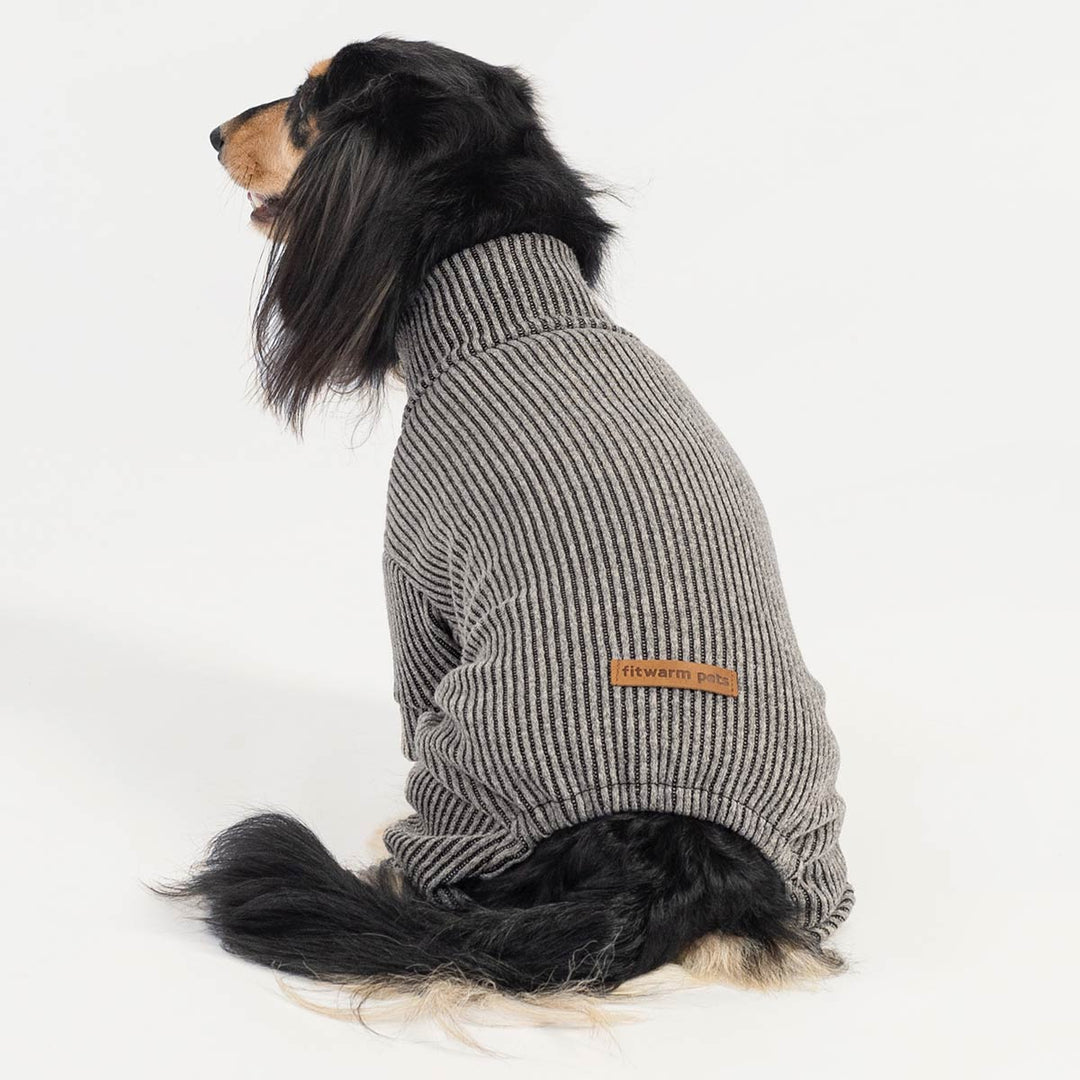 Dachshund dressed in soft striped dog jammies sitting calmly