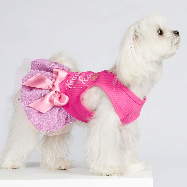 Cute Maltese in a Pink Birthday Dog Dress - Fitwarm Dog Clothes