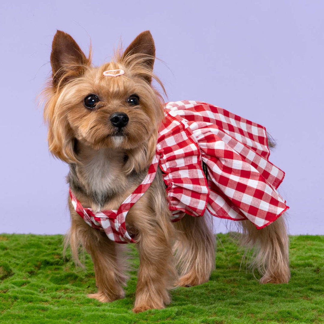 Bohemian Plaid Dog Dress Bohemian Plaid Dog Dress
