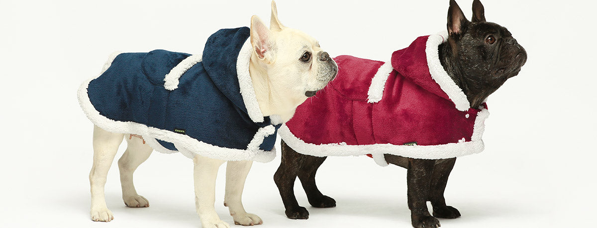 Frenchies in Flannel Hooded Blanket Dog Coats - Fitwarm Dog Clothes