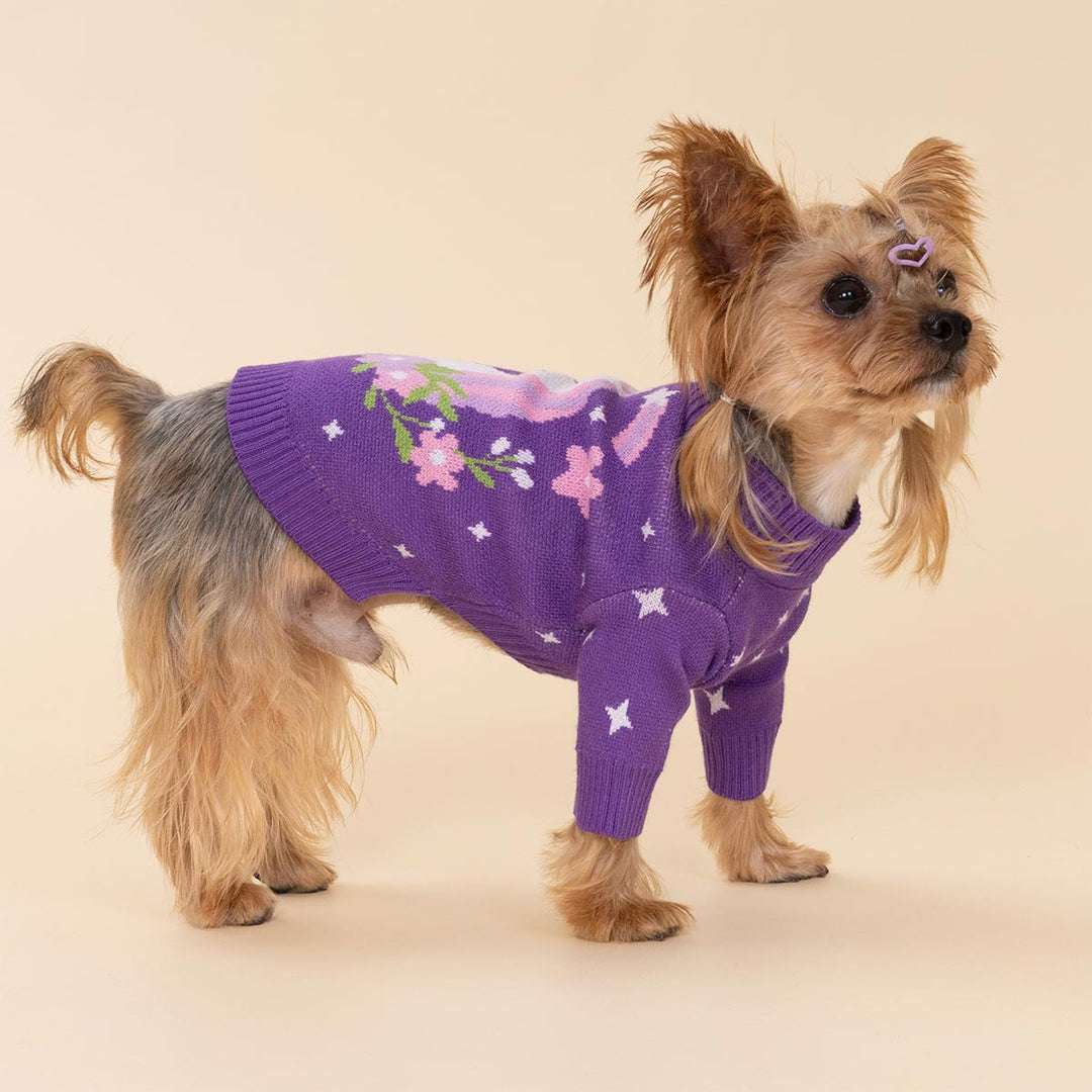 Small Yorkie wearing a purple dog sweater with pink unicorn and floral patterns