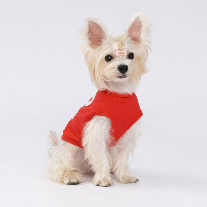 White fluffy dog in a bright red Valentine dog tank top