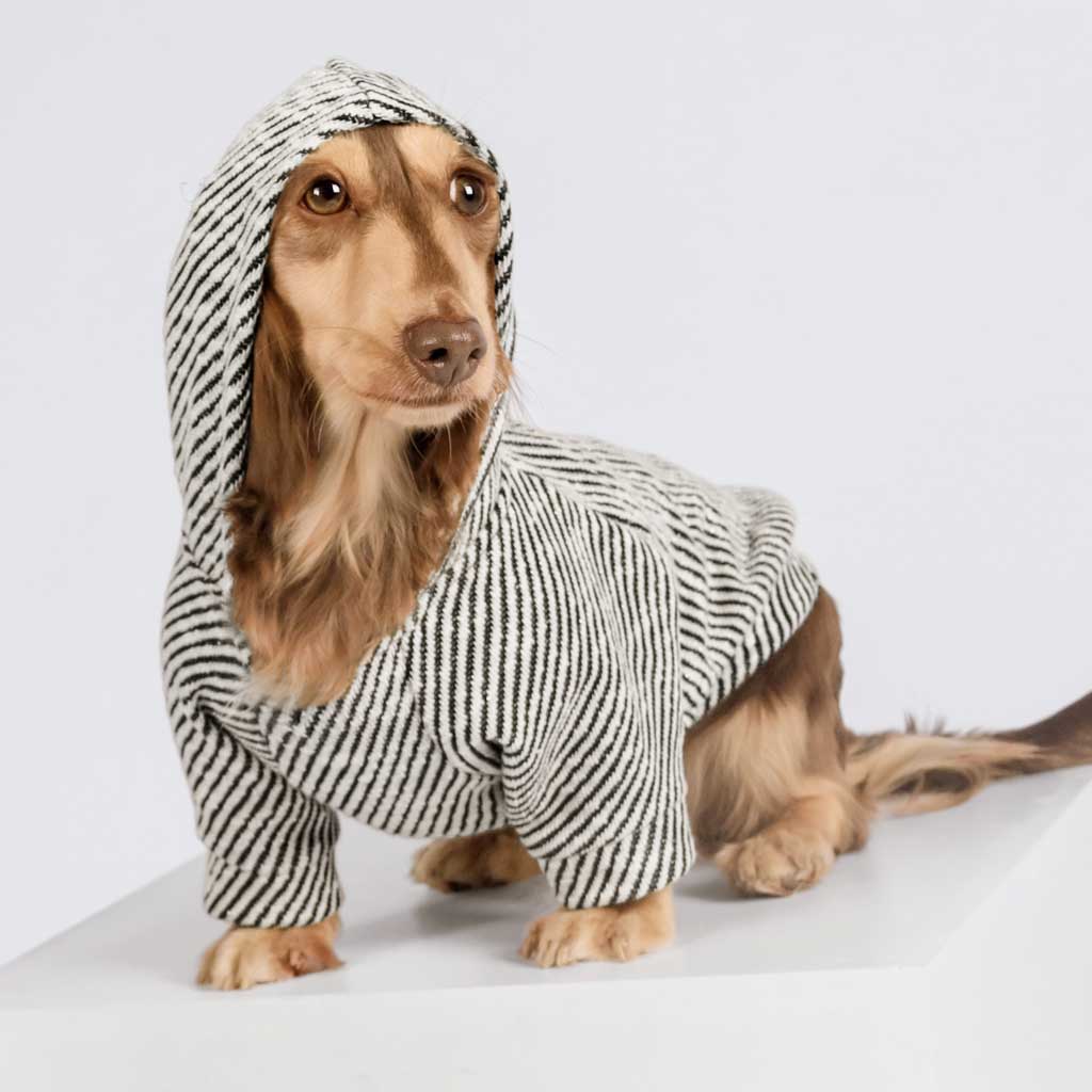 Stylish Sliver Striped Dog Hoodie for Dachshund - Fitwarm Dog Clothes
