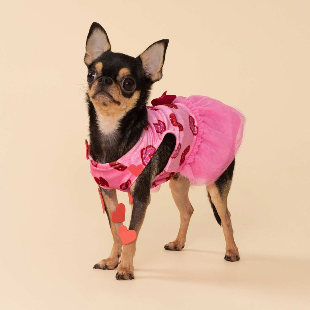 Tiny pup posing in a pink valentine dog dress with sparkling heart details