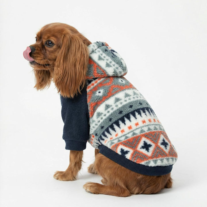 Cavalier King Charles Spaniel in a cozy fleece dog hoodie