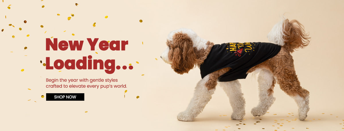 Cockpoo wearing a New Year Dog Shirt