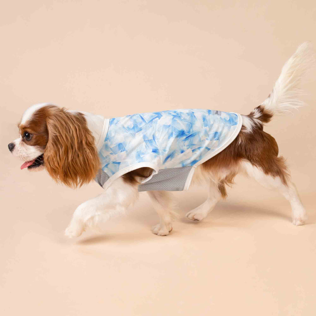 King Charles Spaniel in a Refreshing Ice Dog Shirt - Fitwarm Dog Clothes