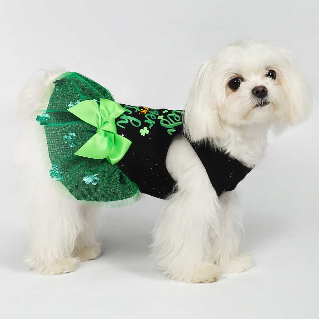 Cutest Clover Dog Dress | St. Patrick's Dog Outfit Black / X-small Cutest Clover Dog Dress | St. Patrick's Dog Outfit Black / X-small