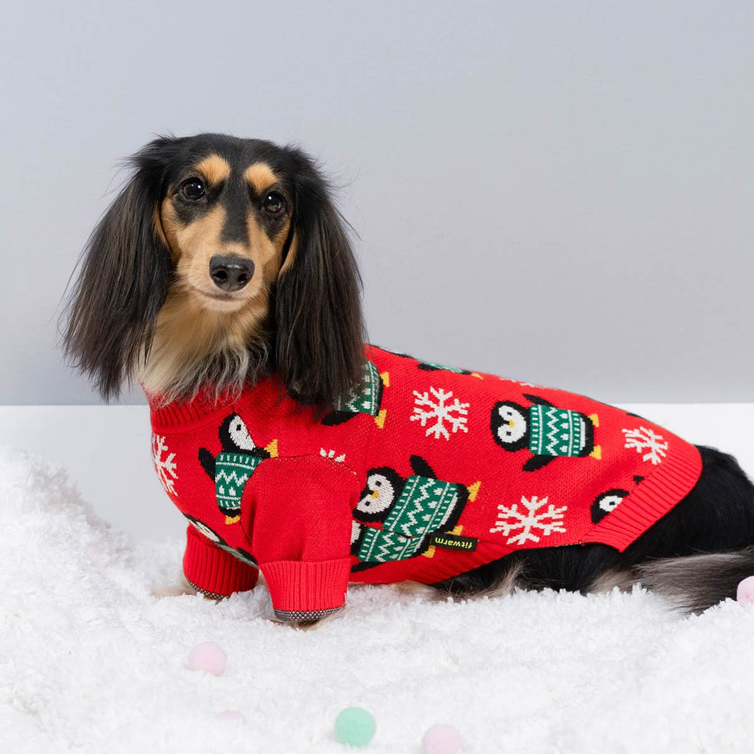 Dachshund wearing festive red dog sweater with penguin and snowflake holiday design