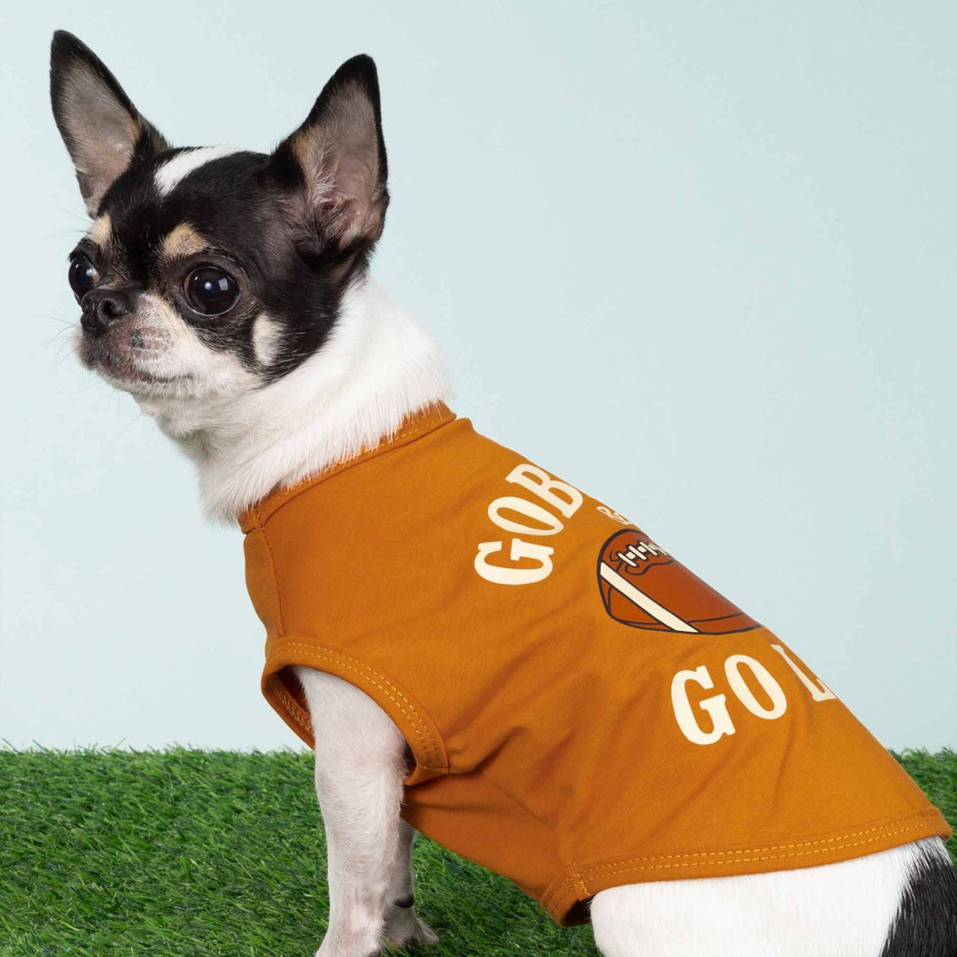 Small Chihuahua wearing an orange dog shirt with a football print and playful text