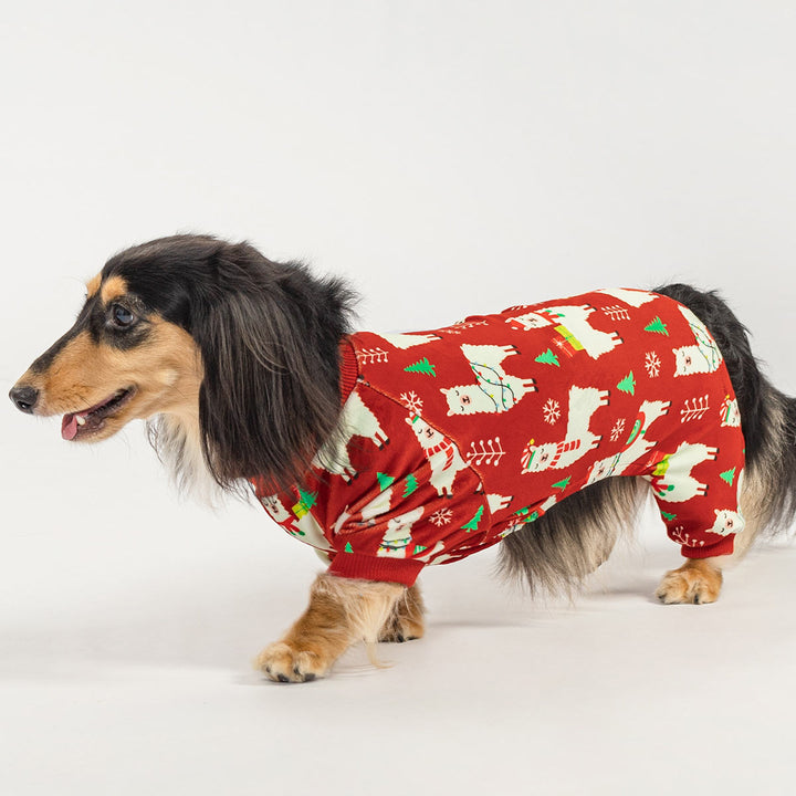 Happy dachshund dressed in red alpaca print dog jammies