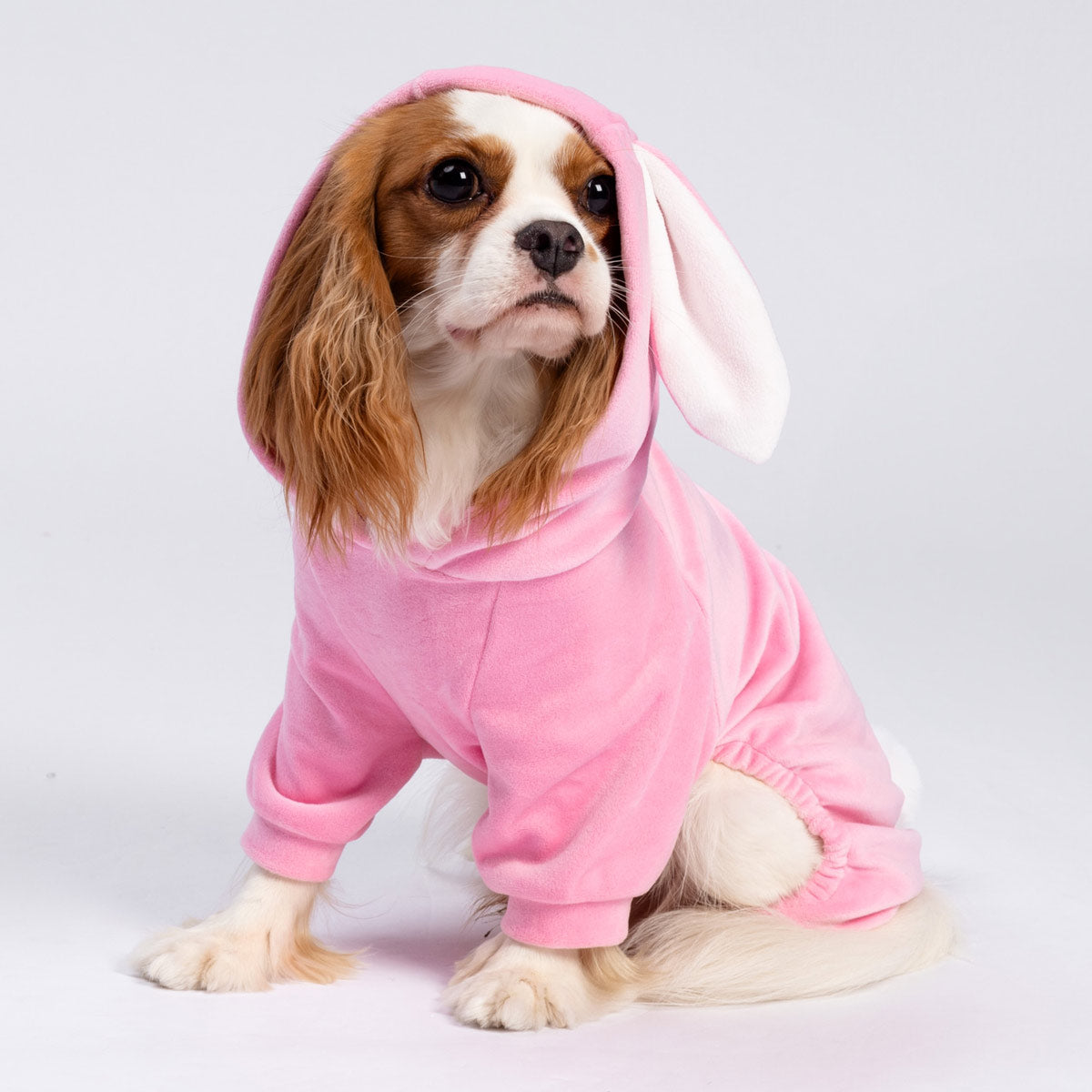 Pink Dog Bunny Costume | Funny Halloween Pet Outfit – Fitwarm