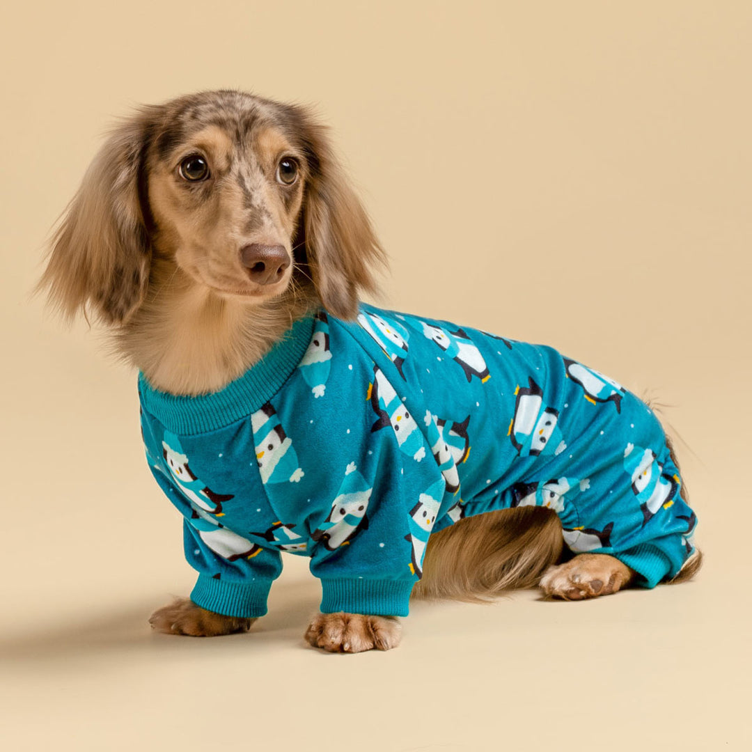 Penguin Dog Pajamas Small Dog Onesie Teal – Fitwarm