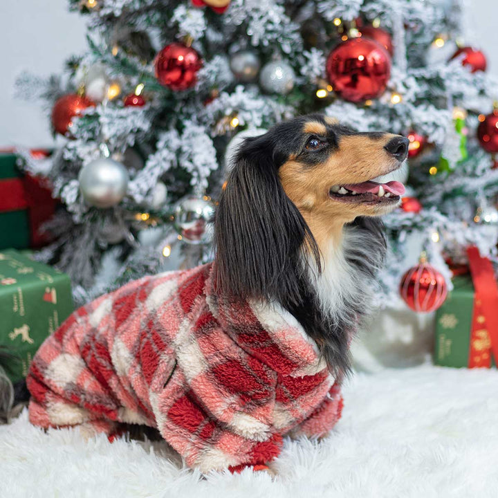Dachshund in red plaid dog pajamas posing beside a Christmas tree