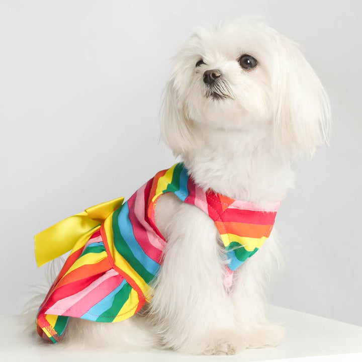Maltese in a Rainbow Striped Dog Dress - Fitwarm Dog Clothes