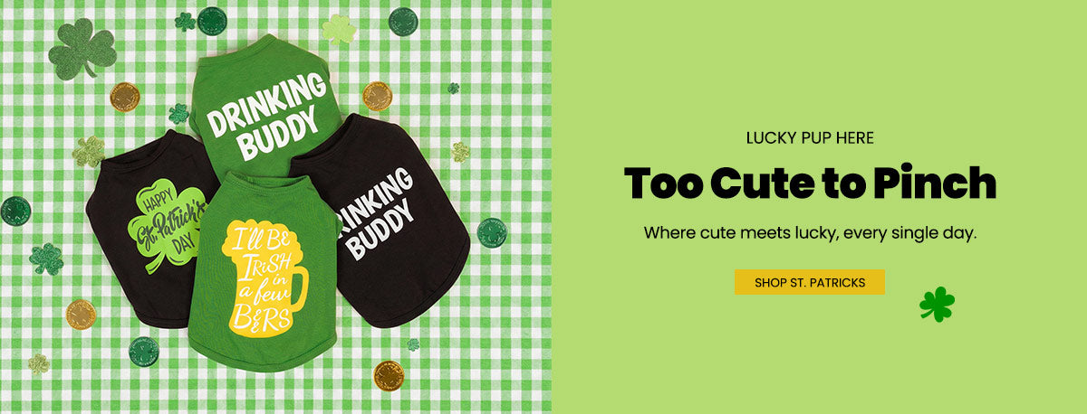 St' Patrick's Day dog outfits