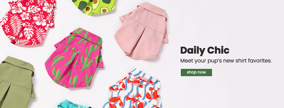 Collection of colorful dog summer shirt