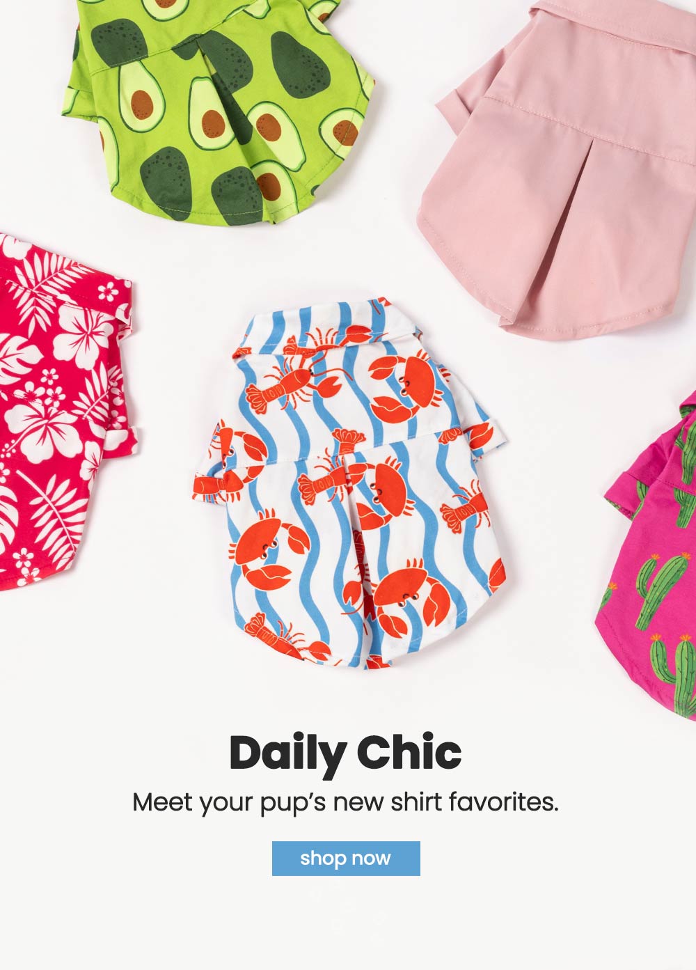 Collection of colorful dog summer shirt