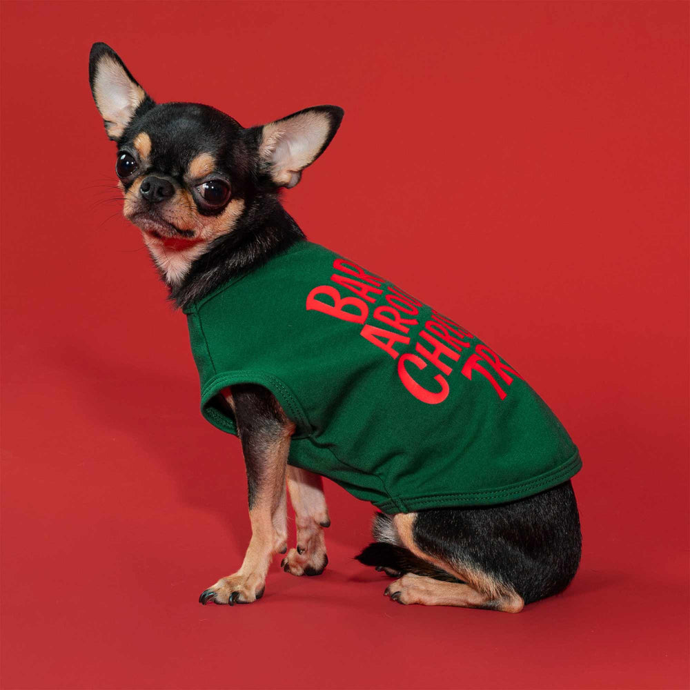 Small Chihuahua wearing a green Christmas dog shirt with bold red lettering against a red backdrop