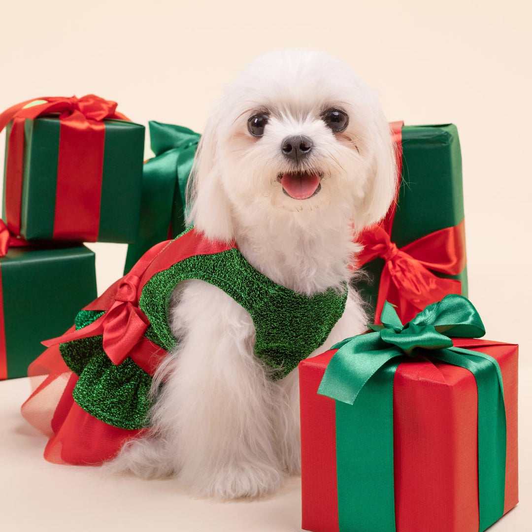 cute dogs dressed up for christmas 120+ Dog Costume Christmas Stock Photos, Pictures & Royalty-Free Images