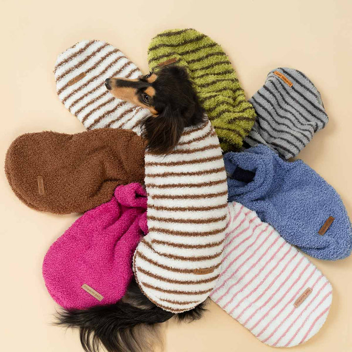 Dachshund surrounded by colorful striped dog sweater collection in cozy fabrics
