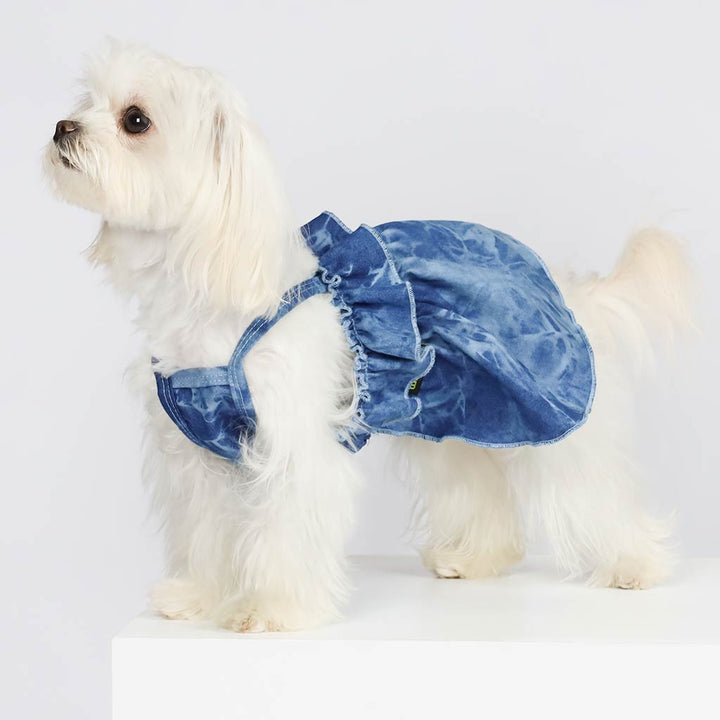 Maltese in a Cute Ruffle Denim Dog Dress - Fitwarm Dog Clothes