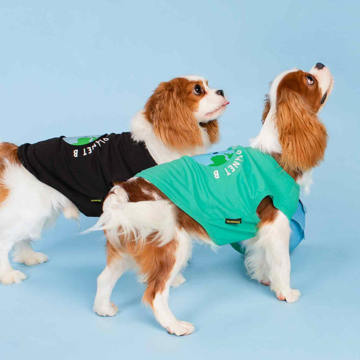 King Charles Spaniels in Dog Shirt with Cute Earth Prints and Earth Day Themed Lettering - Fitwarm Dog Clothes
