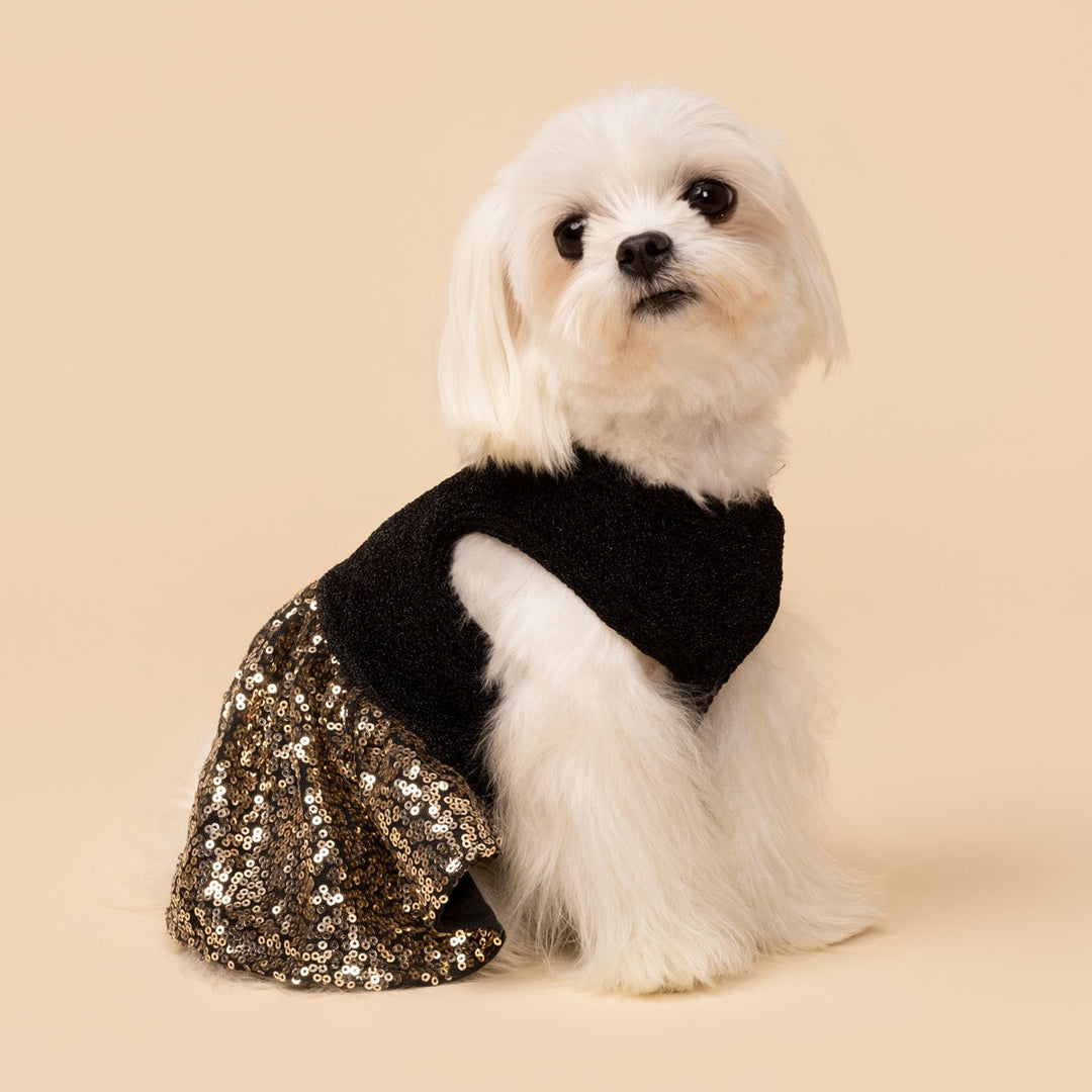 Sparkly Sequin Dog Dress Sparkly Sequin Dog Dress