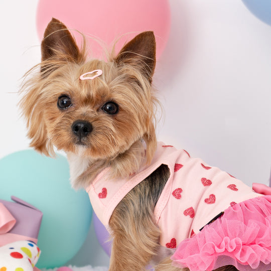 Hawaiian Dog's Shirts | Tropical Flowers in Vibrant Yellow Orchid
