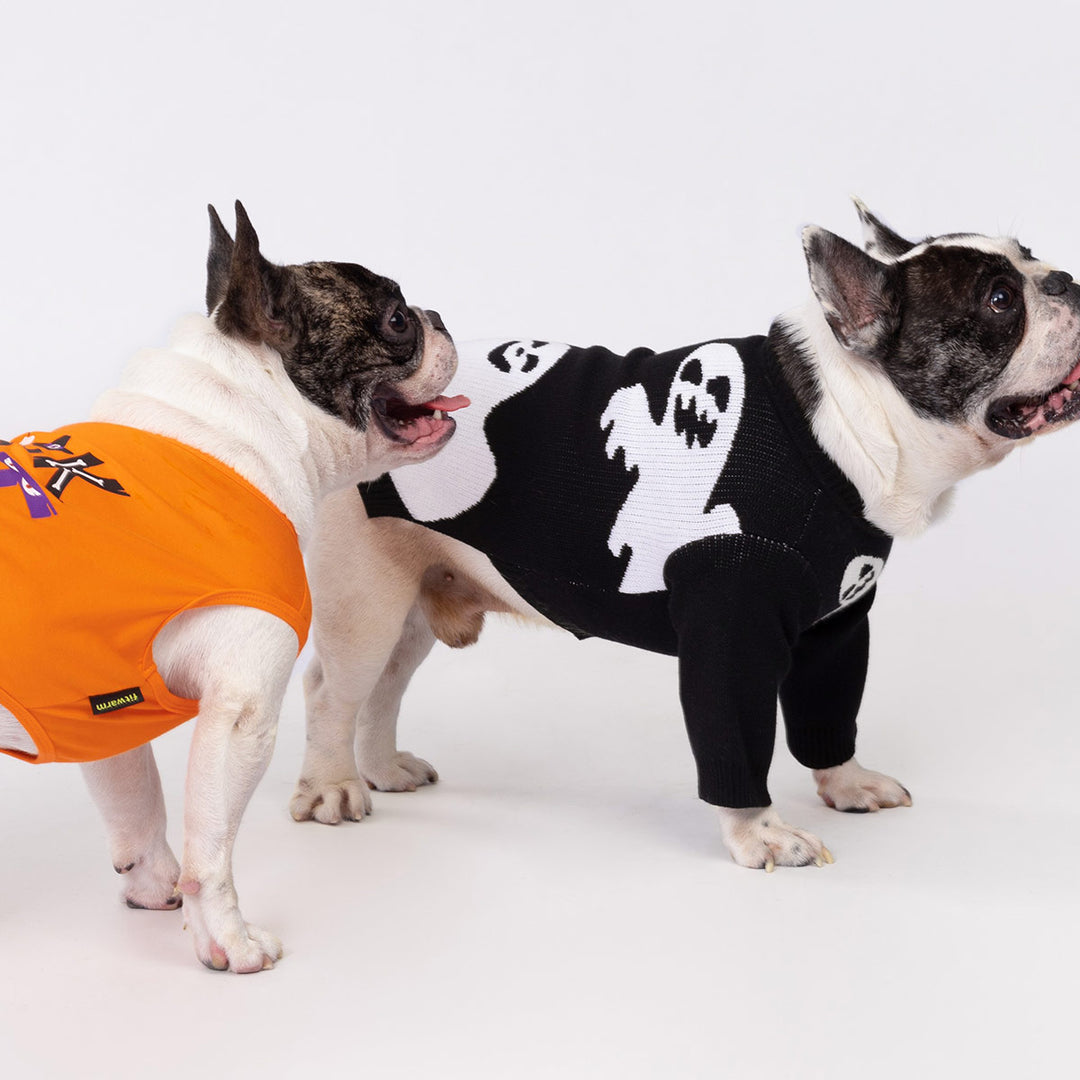 Two French Bulldogs in Fitwarm Halloween dog sweaters - black ghost design and orange top for spooky comfort and style.