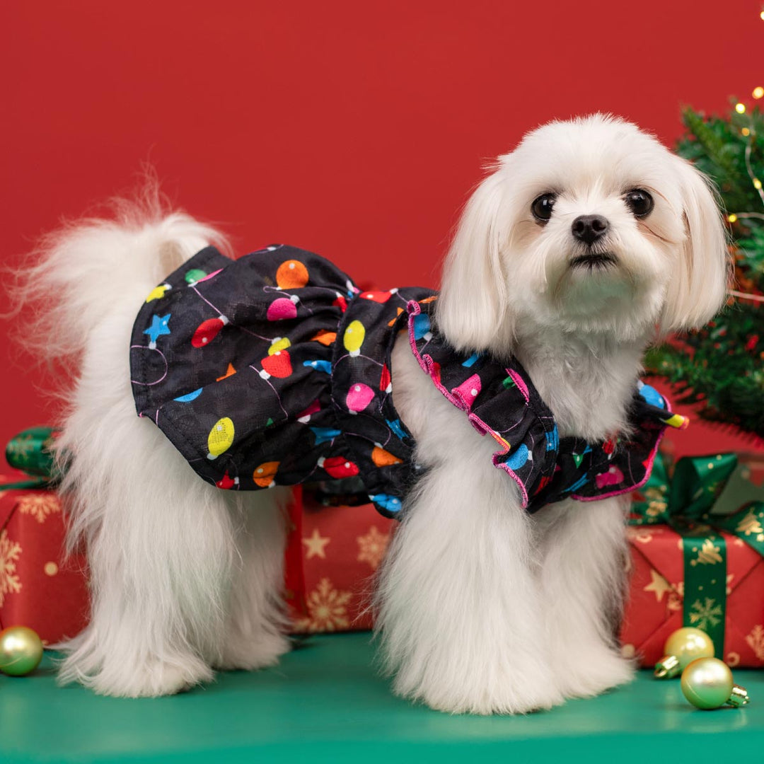 Black Christmas Light Ruffle Dog Dress | Festive Pet Apparel Black / Small Black Christmas Light Ruffle Dog Dress | Festive Pet Apparel Black / Small