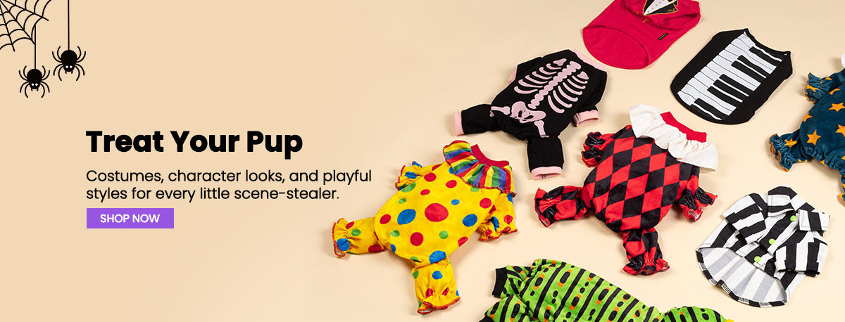 Promotional banner for dog costumes featuring multiple colorful outfits for dogs arranged on a beige background, with text reading 'Treat Your Pup' and a 'SHOP NOW' button