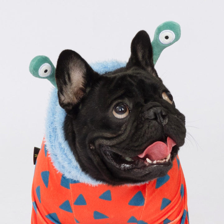 Black French Bulldog in a playful Halloween monster dog costume
