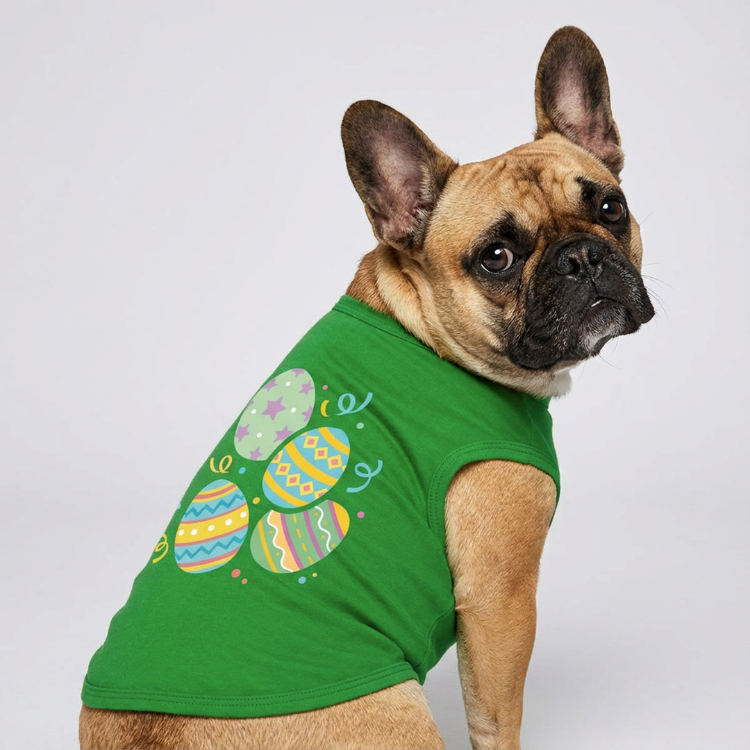 French bulldog wearing a green dog shirt with Easter egg design on a plain background