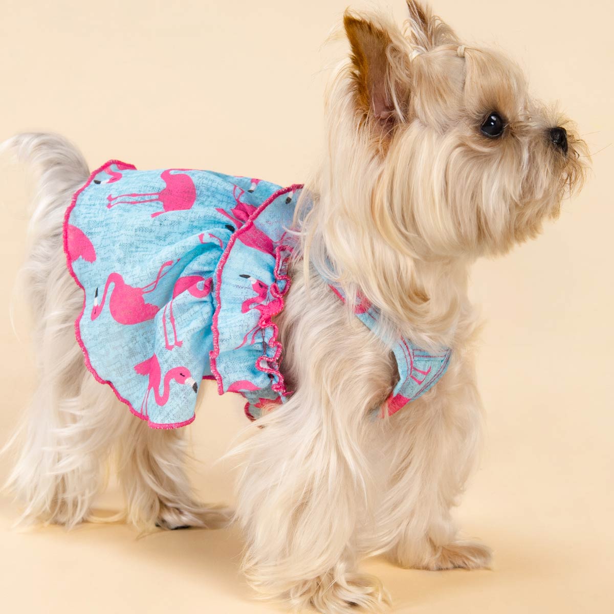 Flamingo Dog Dress | Blue Pink Small Pet Dress – Fitwarm