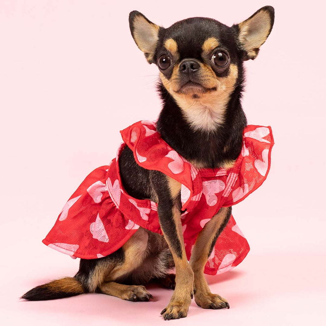 Sweet Heart Dog Dress | Adorable Princess Style Sweet Heart Dog Dress | Adorable Princess Style