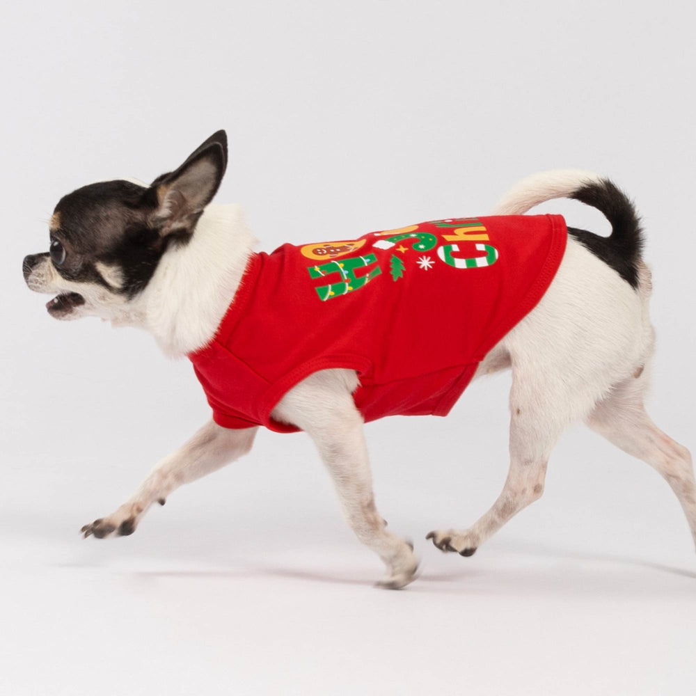 Running Chihuahua wearing a red Christmas dog shirt with festive holiday graphics