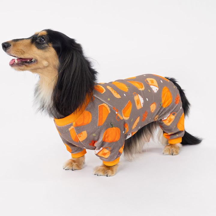 Cute dachshund modeling festive pumpkin dog jammies featuring orange pumpkins and leaves