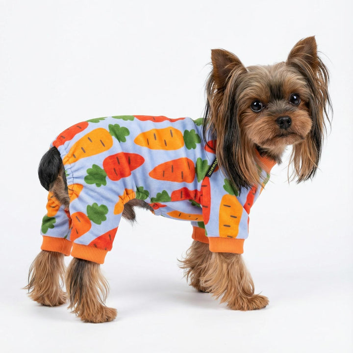 Yorkie wearing a cozy dog pjs with funny cartoon carrot prints