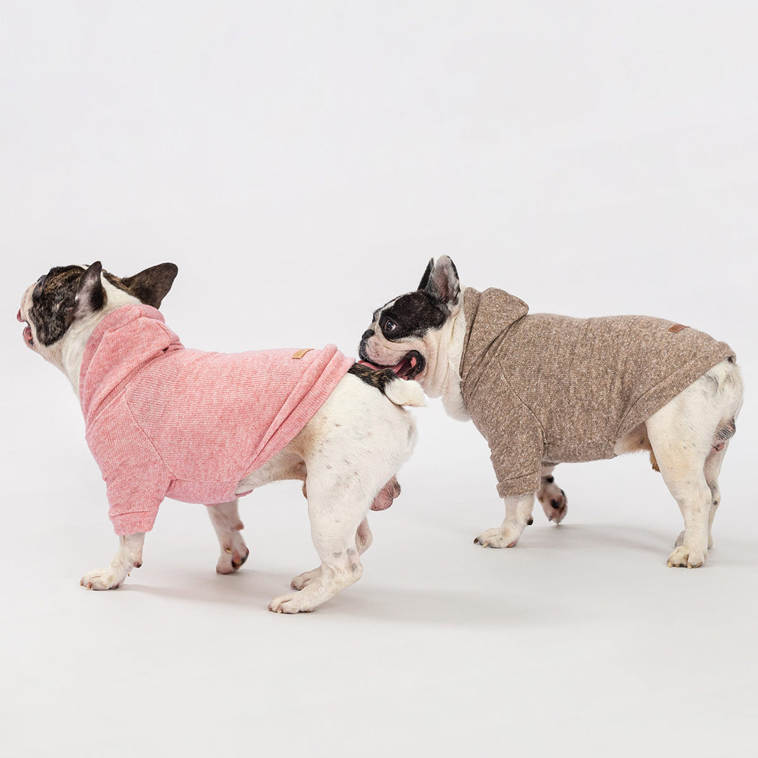 Two French bulldogs wearing heathered knit hoodies, one in rose pink, the other in taupe, showcasing product fit and style.