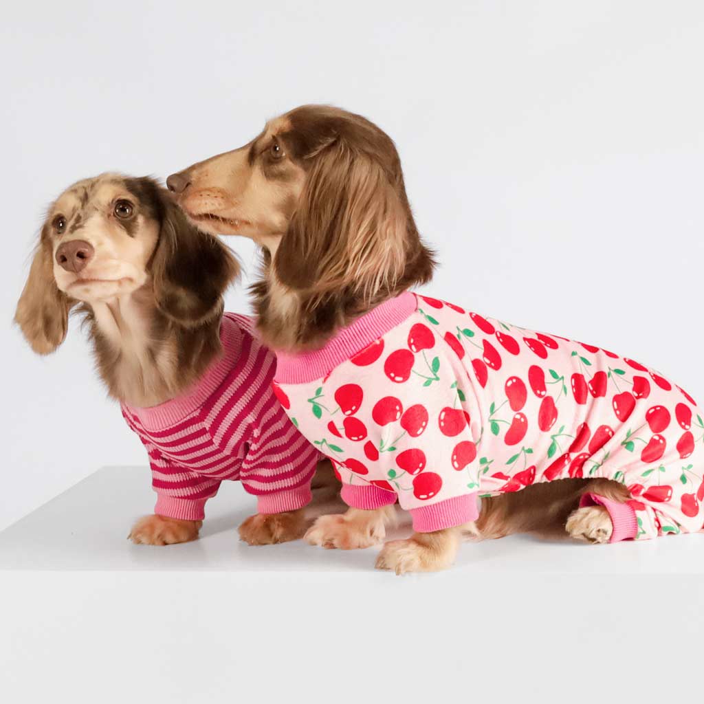 New Dachshund Pyjama Buy Navy Blue Dachshund Long Sleeve Pyjamas