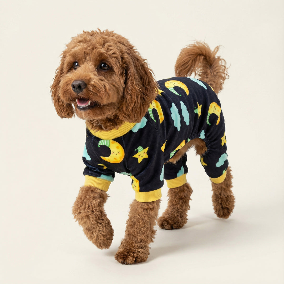 Poodle walking in black dog onesie with moon and star prints