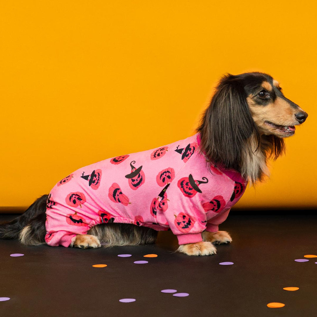 Dachshund wearing festive pink Halloween dog pajamas with jack o’ lantern print