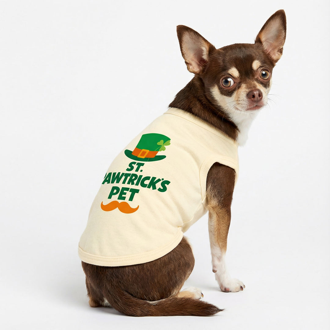 Chihuahua wearing a St. Pawtricks dog tank top on a white background