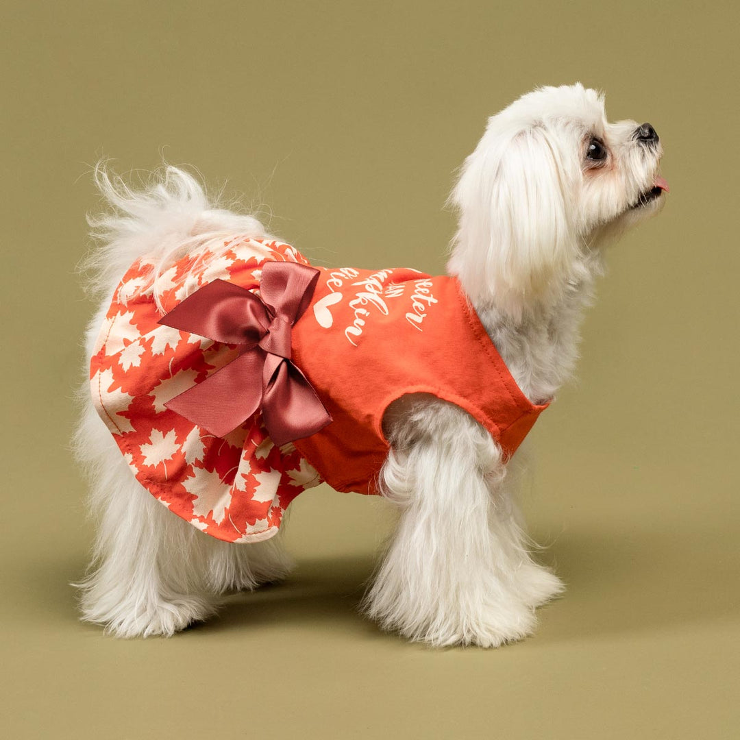 dogs dressed for thanksgiving Orange Dog Dress