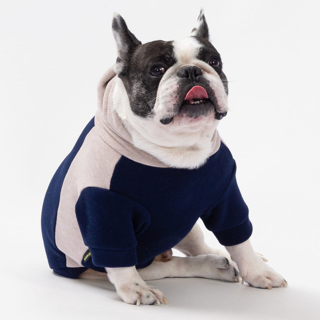French Bulldog sitting in navy and beige color block hoodies for dogs