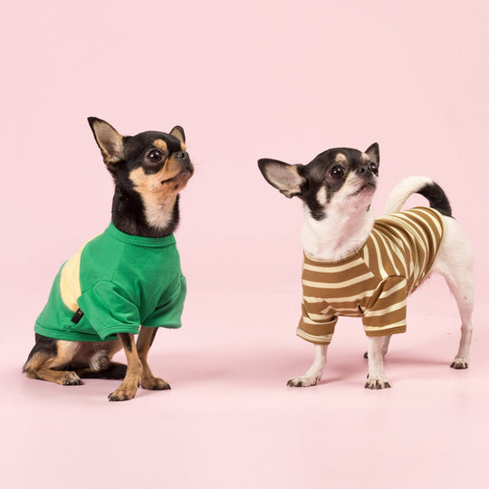 BIG DOG - Sunny Days Doggy Shirt main image 1