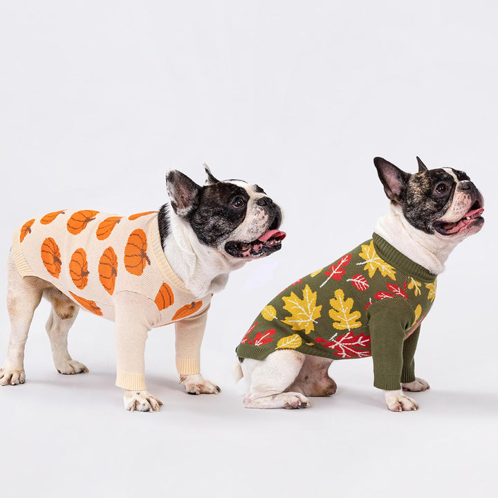Fall dog sweaters featuring bright orange pumpkins and leaves on a soft knit