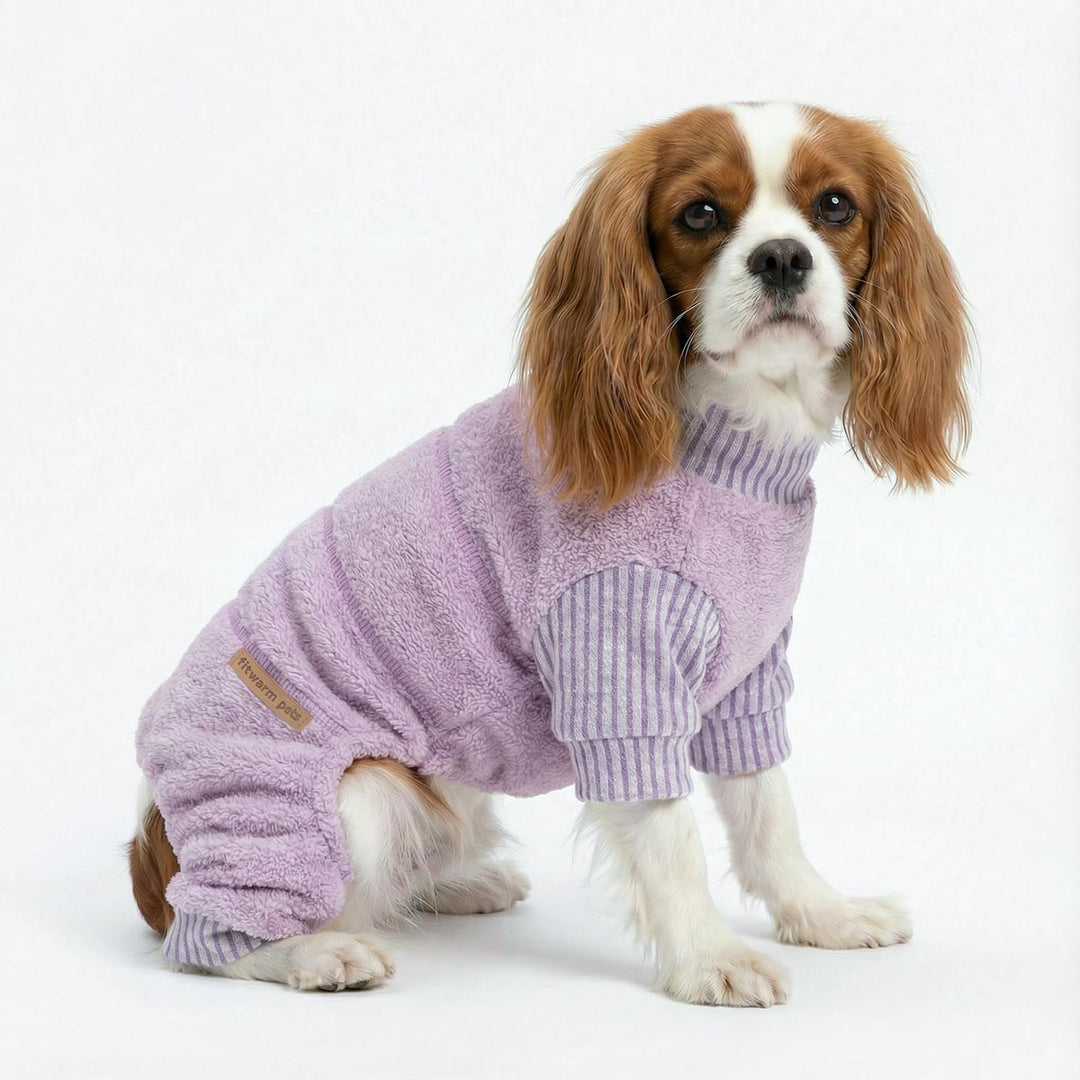 Cavalier King Charles Spaniel wearing a purple fleece dog onesie on a white background